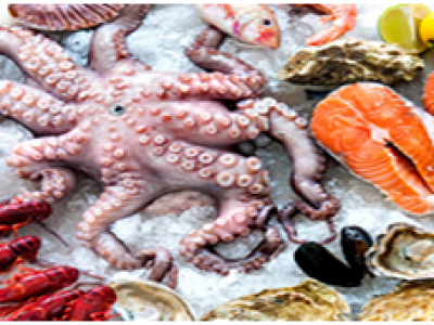 Standardi EN 17099: Kërkesat për etiketimin e peshkut dhe produkteve të detit