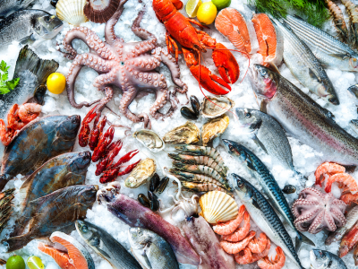 Standardi Evropian EN 17099: Kërkesat për etiketimin e peshkut dhe produkteve të detit