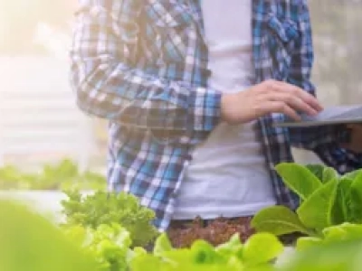 Standards as a tool for consumer protection